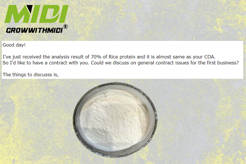 Client Choice: High-Rating 70% Rice Protein Powder